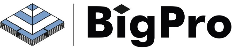 BigPro-Logo.jpg