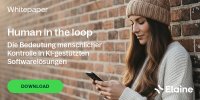 Whitepaper: Human in the Loop