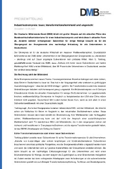 Pressemitteilung des DMB_Industriestrompreis_teuer, transformationshemmend und ungerecht.pdf