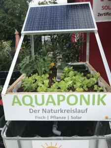 Aquaponik Pilotsystem bei iKratos in Weißenohe