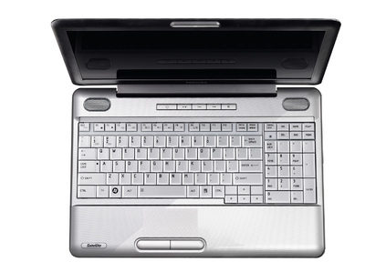 Satellite L500