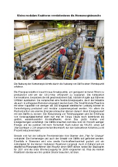10.02.2025 Kleine modulare Reaktoren revolutionieren die Atomenergiebranche.pdf