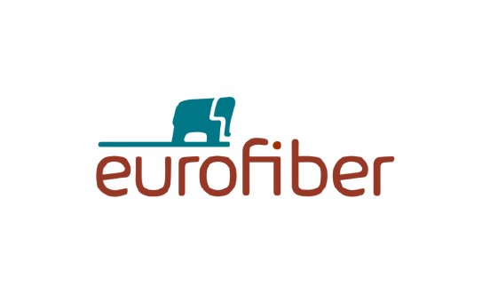 PM-Motiv Logo Eurofiber.png