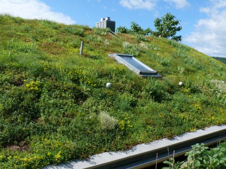 ZinCo Steildach2.JPG