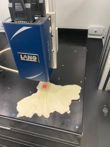 3D-Scan der Seelilie mit dem Digitalisiersystem LDigit express von LANG