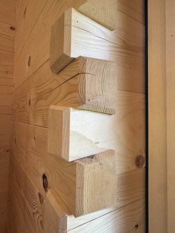 NUMinfo66_Krüsi_iPhone_Bienenhaus (22).JPEG