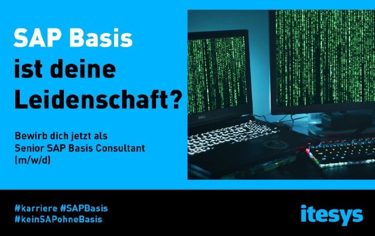 sap basis.jpg