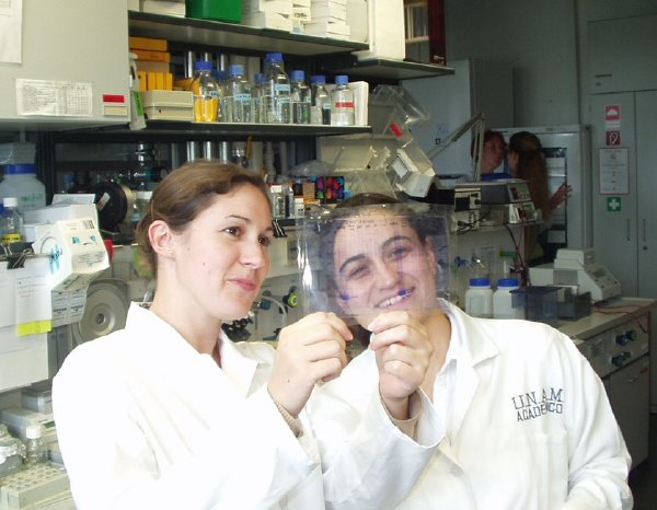 Membrantransport, Foto3_Herrmann-lab.jpg