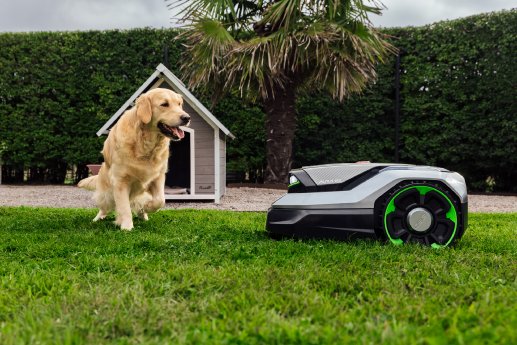 Aura-R2 + dog.jpg