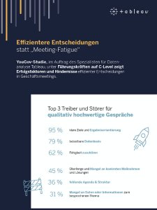 Infografik DataSurvey
