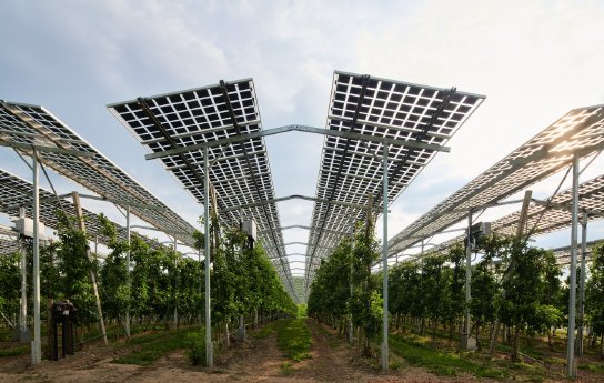 ISE-5387-2022-05-13-Agri-PV-Kressbronn-ISE-001-Ausschnitt-original.jpg