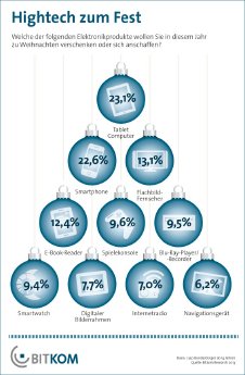 BITKOM Grafik 22 11 2013.jpg