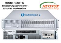 NetStor NA338TB2