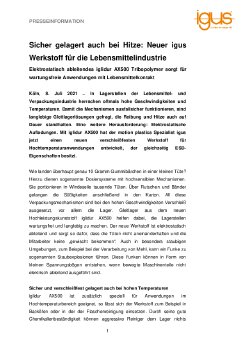 PM3721_iglidur_AX500_Schnellansicht.pdf