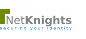 Logo_Netknights-300x138.png
