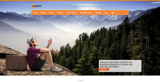 Visual Unity Homepage Image.jpeg