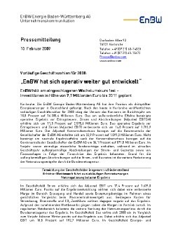 20090210_Bilanzpk_final.pdf