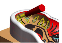 5 Achs Restmaterialbearbeitung einer Schuhsolen Form