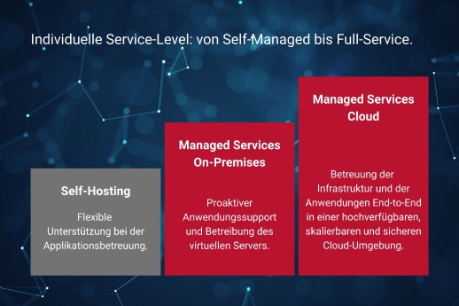 01-Element-Logic-Managed-Services-Überblick.jpg