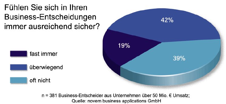 06-11-08 novem Studie Managerbefragung Entscheidungen - Grafik1 - GIF.gif