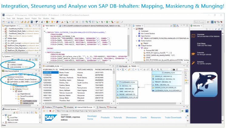 Integration, Steuerung und Analyse von SAP DB-Inhalten.png