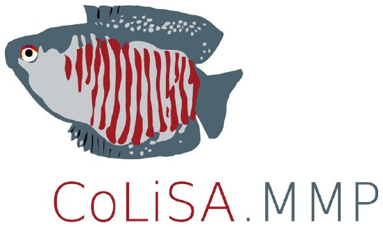 CoLiSA_Press-Image_Logo.jpg