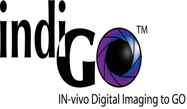 Logo_indiGo.jpg