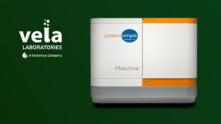 Image for PR VelaLabs 2026.png