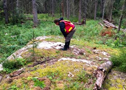 Pegmatitausbiss auf Thompson Brothers; Foto: Nova Minerals