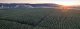 NEUEMISSION: WeGrow AG begibt 8,00%-Green Bond