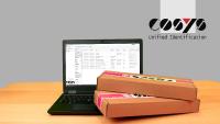 COSYS Inhouse Paket Software
