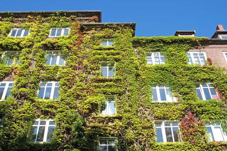 Fassadenbegrünung - Wohnen wie Dornröschen / ©Fotolia.com Kara