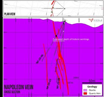 Napoleon Vein / Quelle: Vizsla Resources