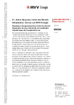 2010-10-29 Dr.  Bergmann.pdf