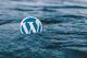 So bekommt Ihr Wordpress Blog eine eigene Blog-Domain