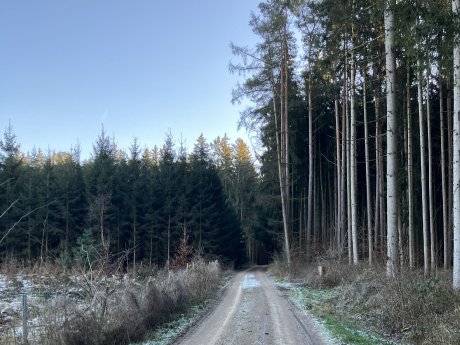 PM_PROJECTS_Holzheim_Baustart.jpg