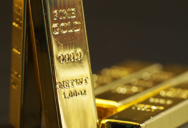 Gold Runner: Bis zu 79,85 g/t Gold im Golden Triangle entdeckt!
