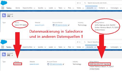 Datenmaskierung in Salesforce