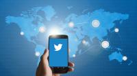 De-Domain für Ihren Twitter-Account