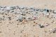 Operation Clean Sweep: An Important Step in Preventing Pellet Loss in the Plastics Industry