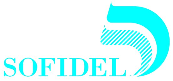 Logo Sofidel senza aziende.jpg