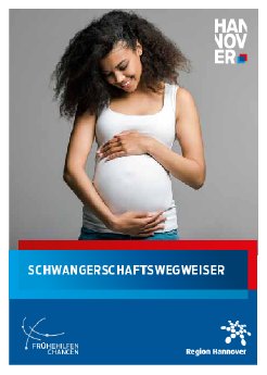 032_Broschüre Schwangerschaftswegweiser.pdf