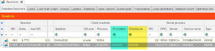 monitoring-network-encryption-session.png