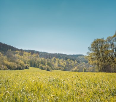 Jahresbericht_Stadtwerke-Initiative_ASEW.png