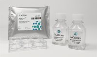 BIOINSTRUCT™: Transforming Stem Cell Research with Innovation BIOINSTRUCT™: Transforming Stem Cell Research with Innovation