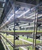 Modulare Regalsysteme aus Aluminium-Rund- und Profilrohren bilden das Fundament einer modernen Vertical-Farming-Anlage. Auf mehreren Ebenen wachsen Jungpflanzen unter energieeffizienter LED-Beleuchtung, ergänzt durch integrierte Belüftungs- und Bewässerungssysteme. Die flexible Infrastruktur unterstützt effiziente Materialflüsse, optimale Wachstumsbedingungen und eine ressourcenschonende, skalierbare Lebensmittelproduktion.