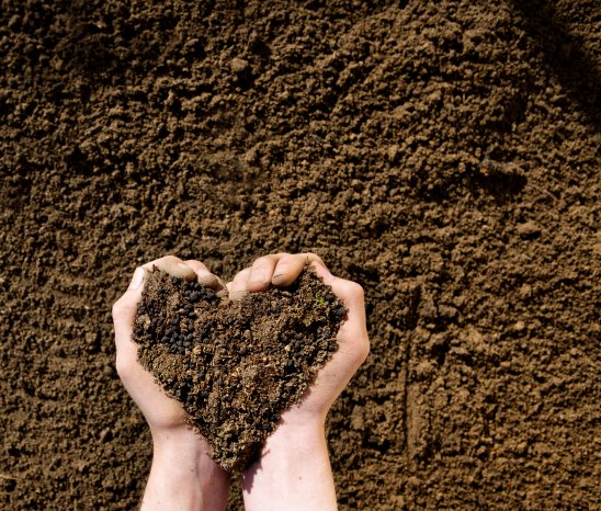 20190308DEJ9829_Soil Heart_Photo_NovihumTechnologies.jpg
