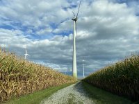 Qualitas Energy Windpark Sassenberg