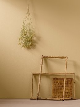 Foto 12.jpg