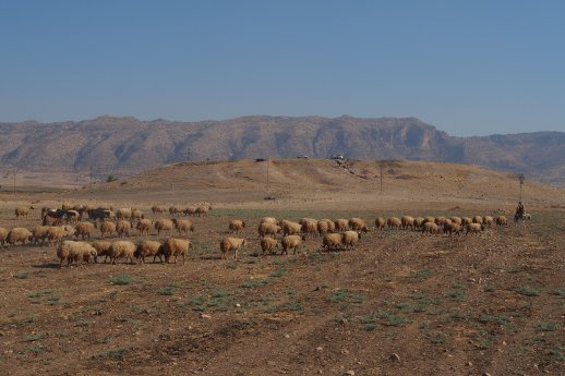 Irak Kurdistan_01.JPG